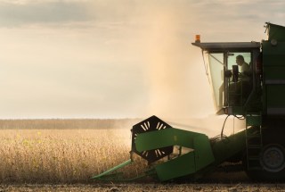 Magic Beans (No, Not Really) Help Quicken US Economic Growth In 2Q
