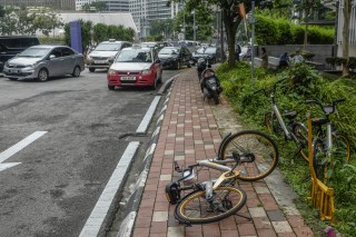 Environmentally Conscious Meets Litter On Wheels?