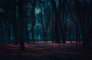Payments’ Stranger Things