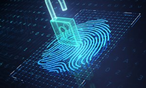 Digital Identity Fraud