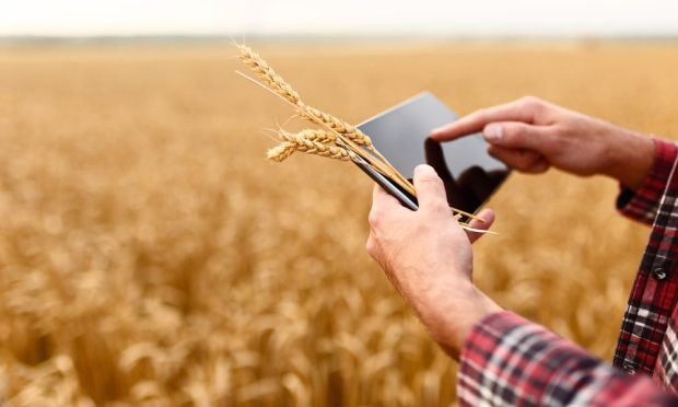 Why Farmers Now Care About Hedging Currency Risk