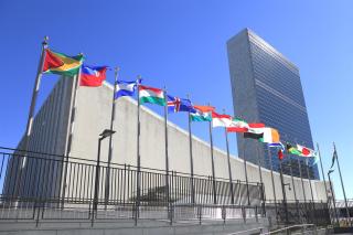 NEW REPORT: For UN Workers, A Credit Union Crosses Borders