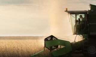 Why Walmart Says Blockchain Can Improve Food Safety