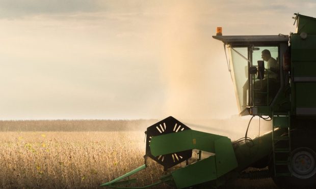 Why Walmart Says Blockchain Can Improve Food Safety