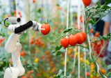 Whole Foods Supplier Embraces Robotic Farming
