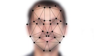 Fake IDs And Fraud’s Other Face