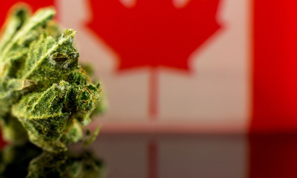 Canadian Marijuana Sales Top $40M in First Month