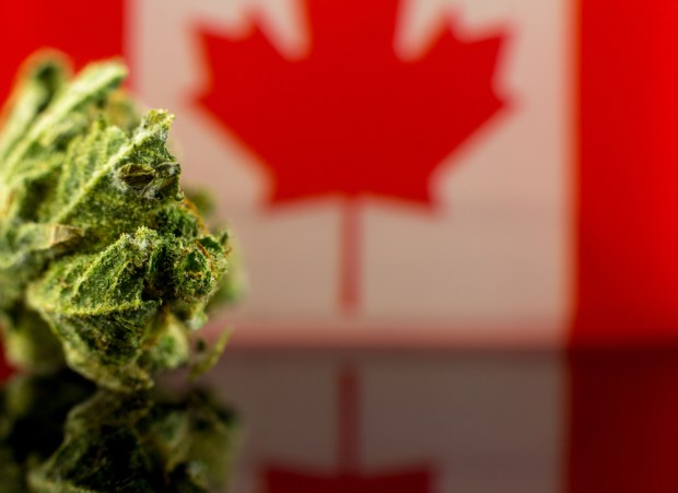 Legal Canadian Marijuana Sales Top $40M In First Month