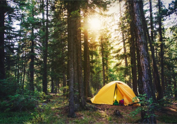 Marketplaces Find A Niche With Off-The-Beaten-Path Campsites