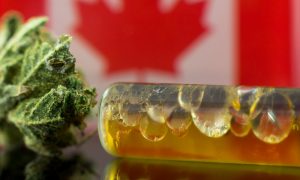 Canada Cannabis Payments Face Their Own Hurdles