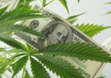 WAYV Lands Seed Funding For Cannabis B2B Procurement Platform