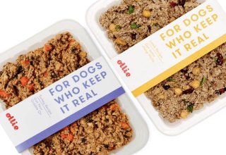 Ollie And Fresh Food Delivery For – Yes – Dogs