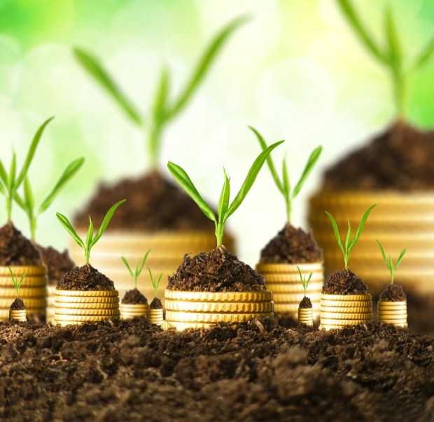 Seed Companies’ Valuations Surging But Number Of Deals Dwindling