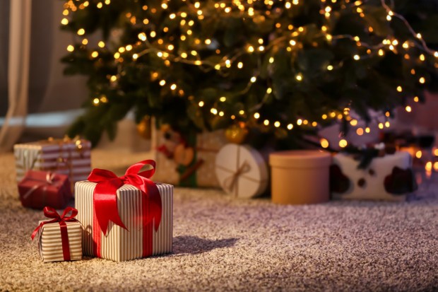Amazon’s Holiday Sales Foreshadow 2019 Retail Trends