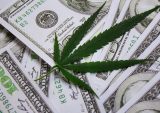 Bridging Banking Gaps For Cannabis Companies