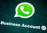 WhatsApp Business Has More Than 5M Users