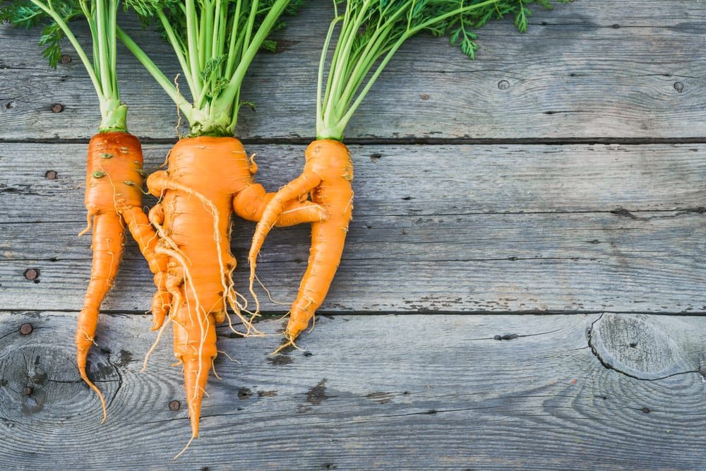 Bitcoin And Dented Radishes: This Week’s Hype Penalty Box Nominees