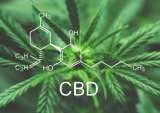 Exploding US CBD Market Could Hit $16B By 2025