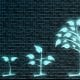SoftBank, Abu Dhabi To Invest In European Tech