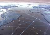 Data Dive, Big Launches Edition: Google, Sephora And PayPal