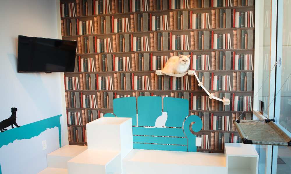 Retail Innovation: Luxury Hotels For Pets