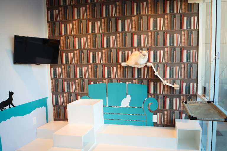 Retail Innovation: Luxury Hotels For Pets