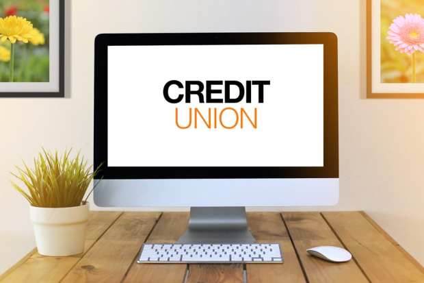 Trust Cements Consumers To The Credit Union