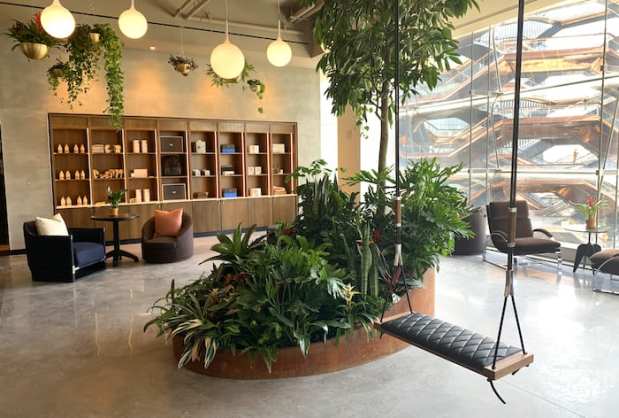 Mobile Apps Unlock Urban Oases For Rest And Productivity