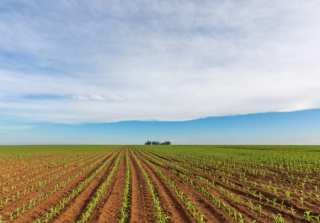 How FinTech Firms Are Tackling Africa’s Agriculture Challenges
