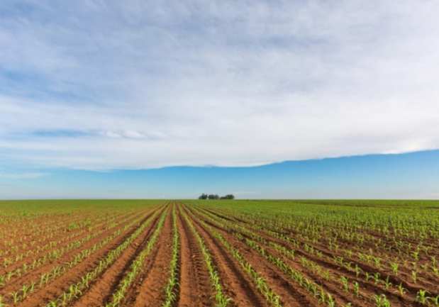 How FinTech Firms Are Tackling Africa’s Agriculture Challenges