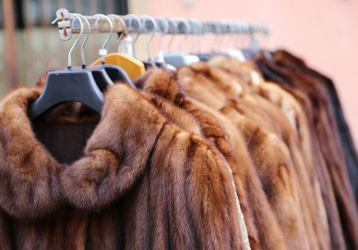 New York City Mulls Fur Sales Ban