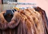 New York City Mulls Fur Sales Ban