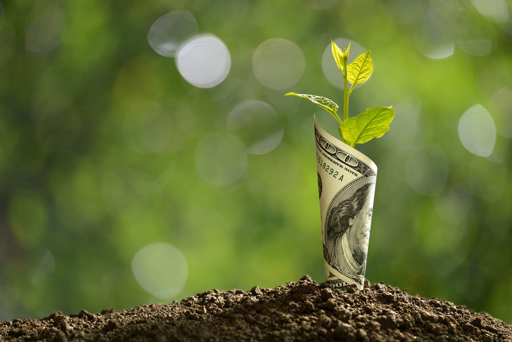 Boosting The Good Growth And Killing The Weeds
