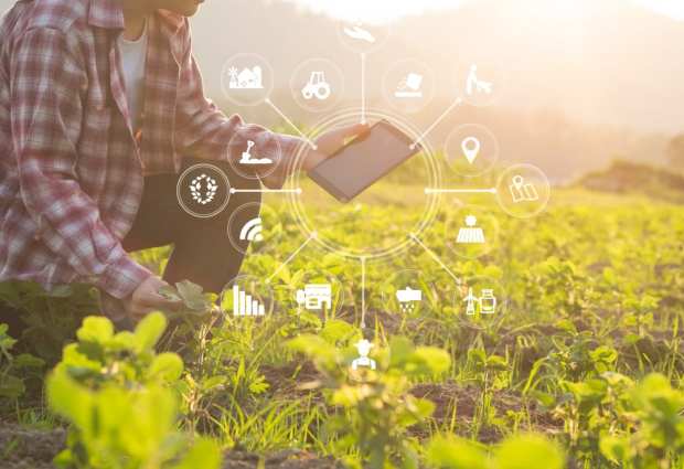 Trade War Highlights Ag’s Impact On The Digital Economy