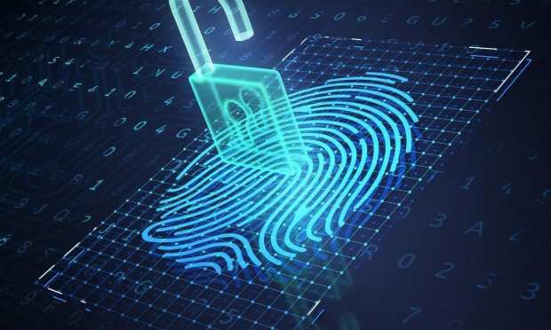 fingerprint identity