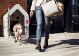 Taking Pet-Friendly Into Next-Level Digital With IoT Dog Houses