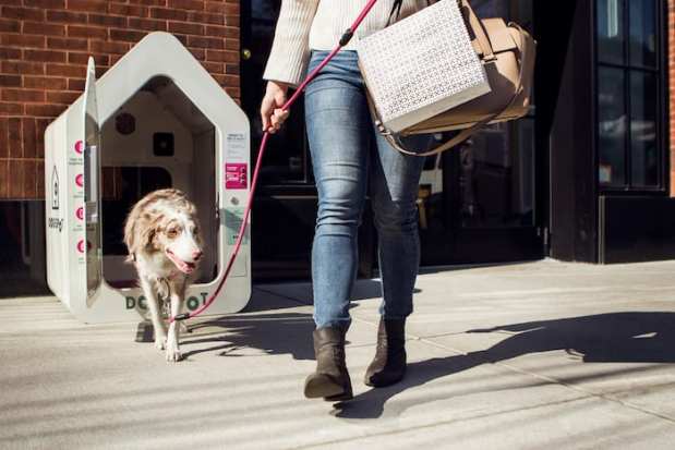 Making Stores Dog-Friendly With IoT Houses