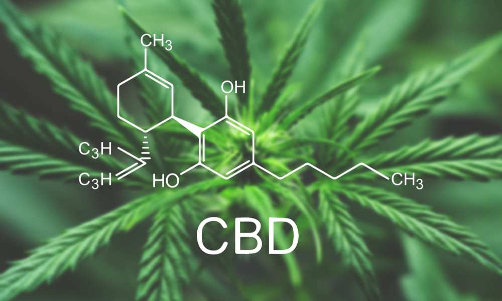 Creating A Mainstream US CBD Market
