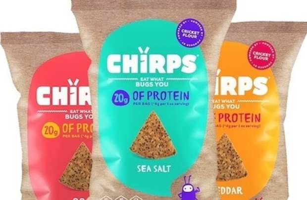 Saving The World By Serving Up Bugs