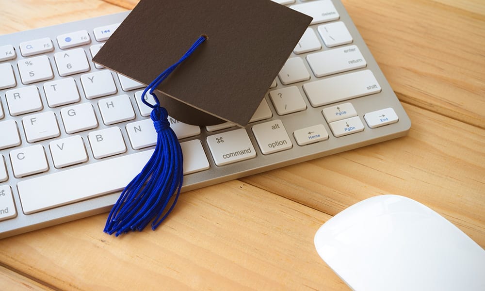 How Online Universities Take Fraudsters To School
