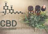 FDA Warns Curaleaf About Unproven CBD Health Claims 