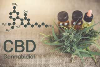 FDA Warns Curaleaf About Unproven CBD Health Claims 