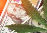 Pro-Pot SAFE Banking Act Hits Roadblock In US Senate