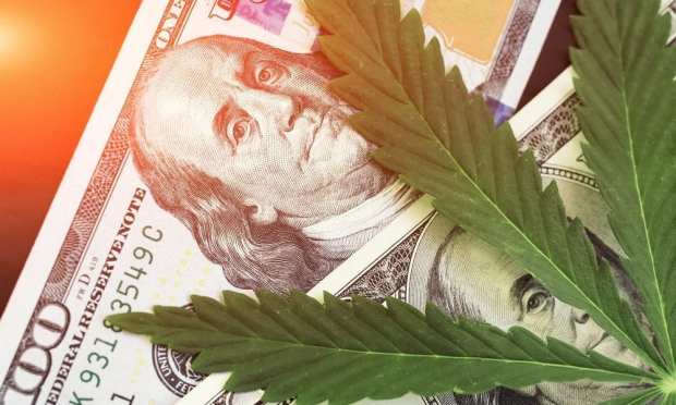 marijuana leaf with money