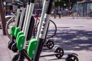 Bird Angles For Direct Sales Of New Scooter Model