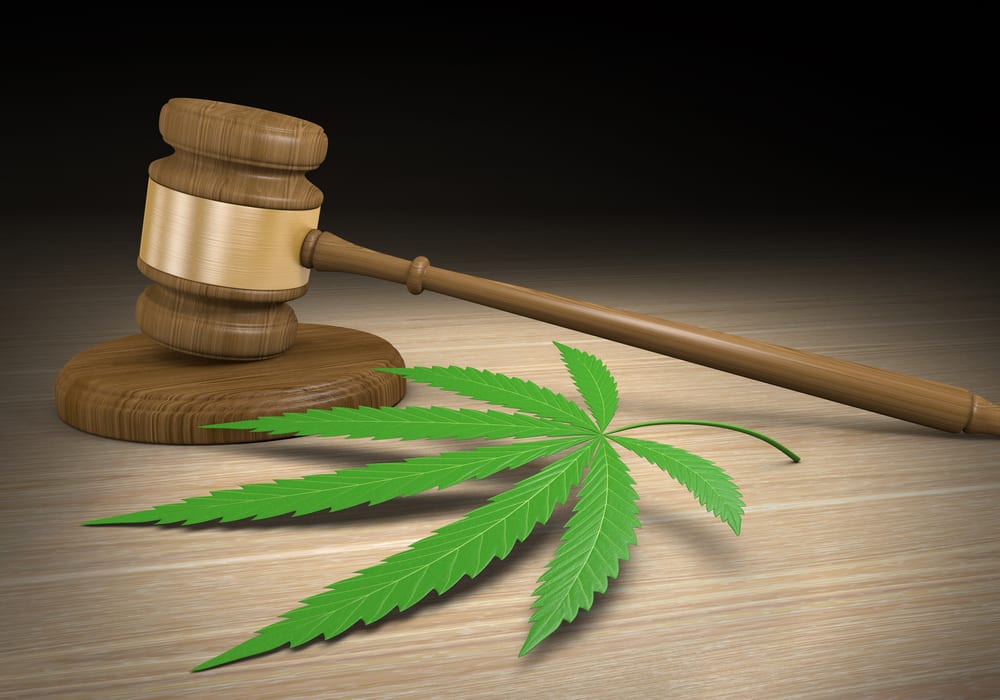 Cannabis Law Reform Gains Momentum In Congress
