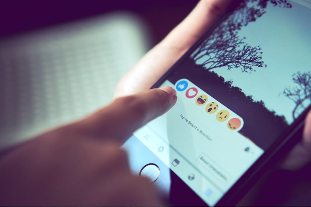 EU Courts: Companies Accountable For Data From Facebook’s ‘Like’ Button