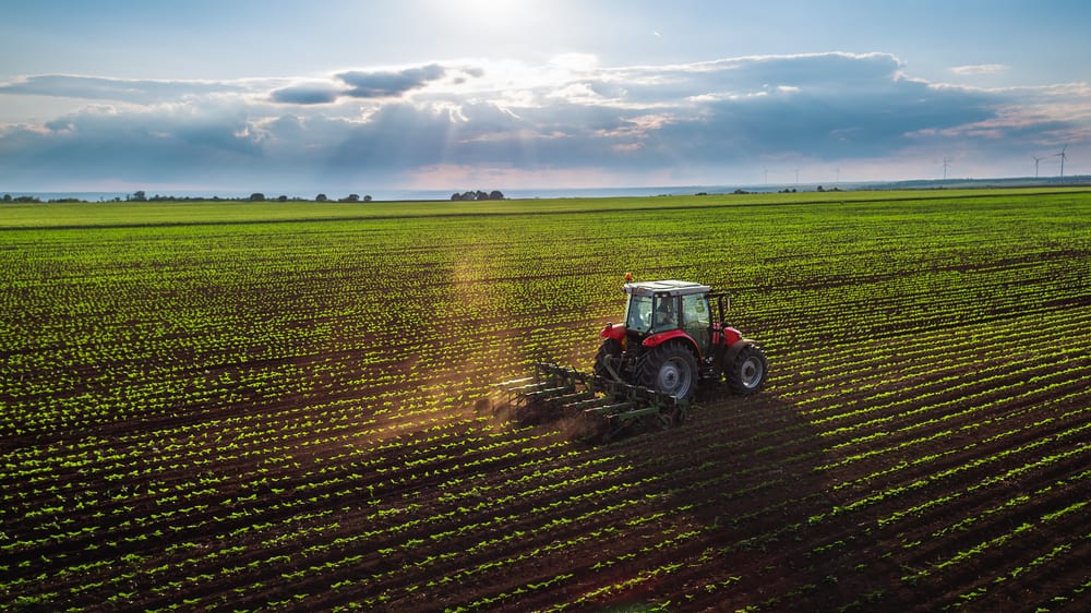 Big Banks Pull Back From Farming: Reuters | PYMNTS.com