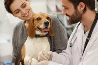 How House Calls Have Gone To The Telehealth Dogs
