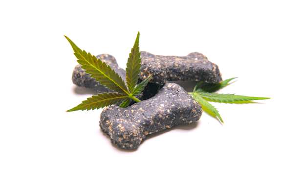 dog treats with pot leaves